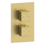 Spay Thermostatic Two Outlet Twin Shower Valve - Brushed Brass