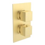 Spay Thermostatic Single Outlet Twin Shower Valve - Brushed Brass