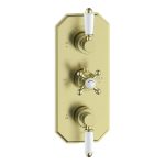 Drop Traditional Lever Thermostatic Two Outlet Shower Valve - Brushed Brass
