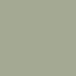 Fibo Signature - Olive Green (Plain Panel) - Pk/2
